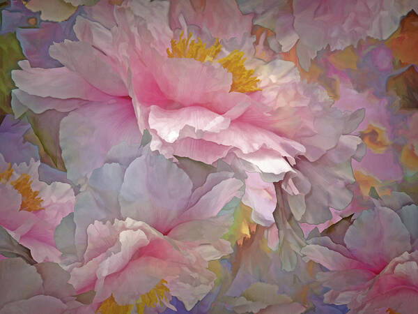 Peonies Poster featuring the mixed media Petal Dimension 20 by Lynda Lehmann