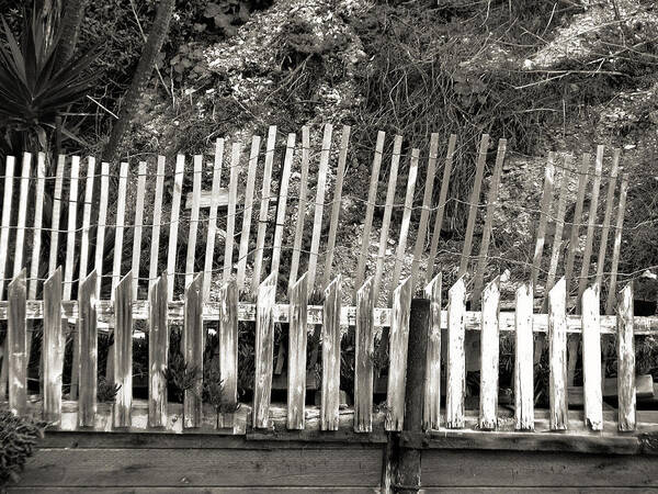 Beach Poster featuring the photograph Picket Fence II by Joanne Coyle