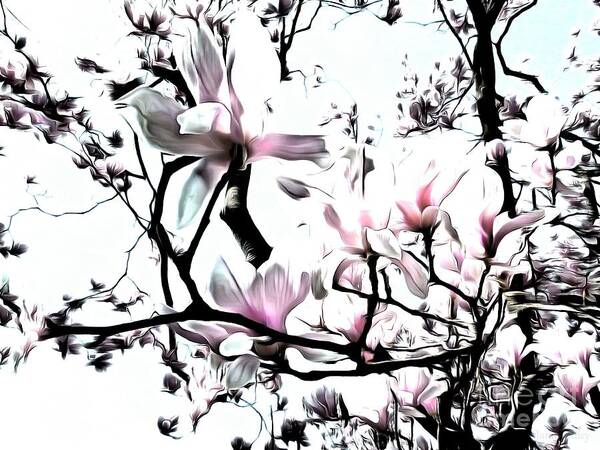 Pink Magnolia Poster featuring the photograph Pink Magnolia - In Black and White by Janine Riley