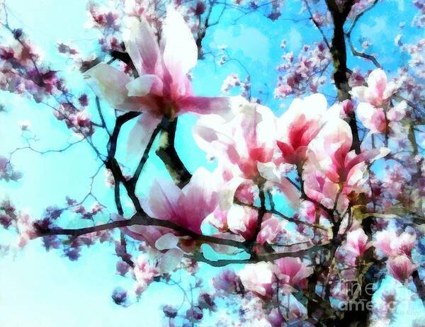 Magnolia Poster featuring the photograph Pink Magnolia by Janine Riley