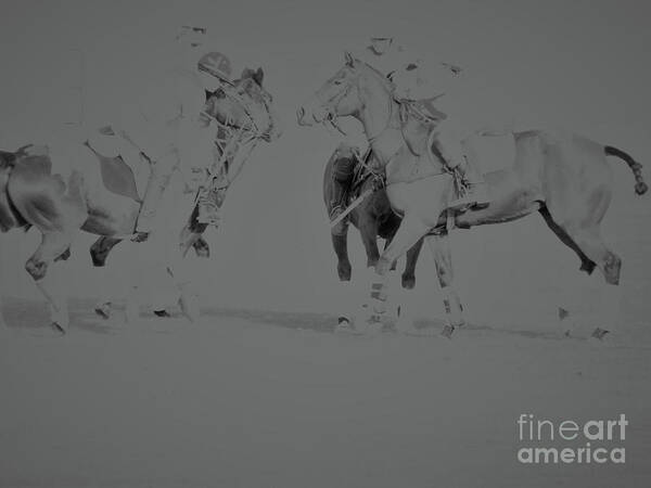 Polo Poster featuring the photograph Polo Ponies by Christy Garavetto