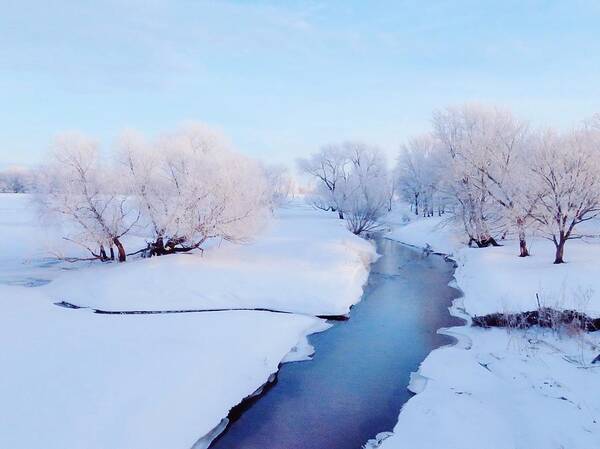 Streams Poster featuring the photograph Pretty Winter Stream by Lori Frisch