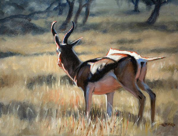 Acrylic Poster featuring the painting Pronking Springbock by Christopher Reid