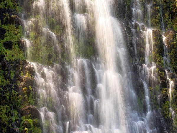 Christopher Johnson Poster featuring the photograph Punalulu Falls by Christopher Johnson