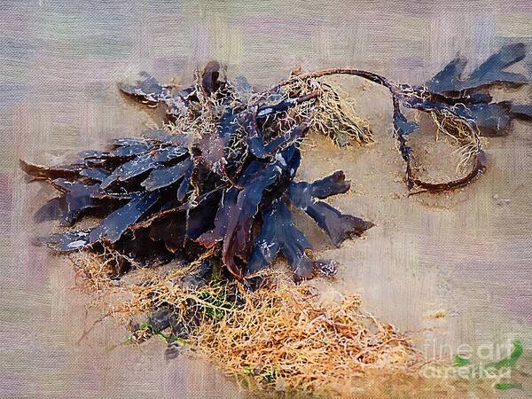 Seaweed Poster featuring the painting Purple Seaweed by Deborah Selib-Haig