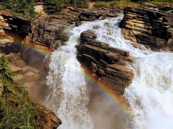 Rainbow. Athabasca Falls Poster featuring the photograph Rainbow at Athabasca Falls by David T Wilkinson