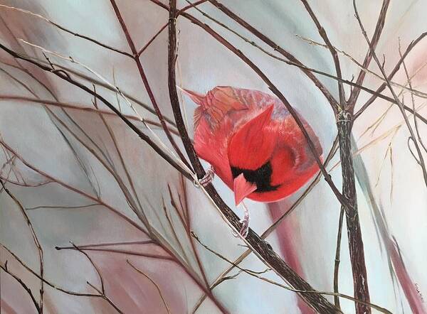#cardinal #red #bird #feathers #nature #wildlife #landscape #trees #tree #snow #winter #birds #black #naturally #wild #canada Poster featuring the painting Red Alert by Stella Marin