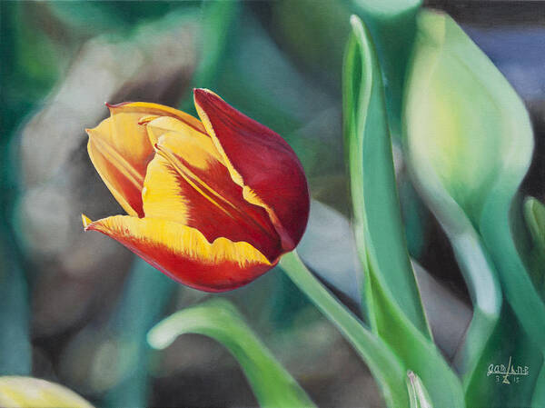Flower Poster featuring the painting Red and Yellow Tulip by Joshua Martin