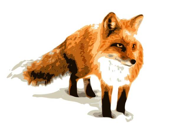 Fox Poster featuring the digital art Red Fox in Winter by DB Artist