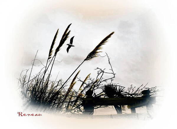 And Poster featuring the photograph REEDS and SEA by A L Sadie Reneau