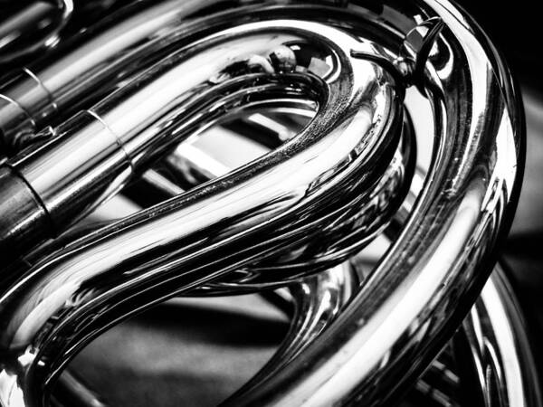 French Horn Poster featuring the photograph Reflecting Sound by Stacy Michelle Smith