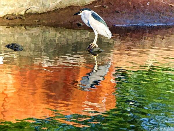 Bird Poster featuring the photograph Reflection of a Bird by Kathy Tarochione