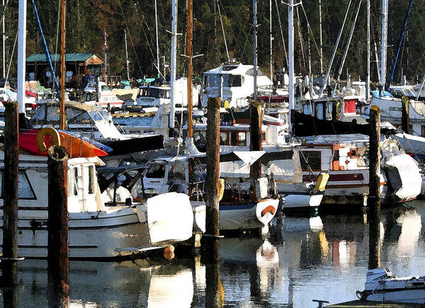 Dock Poster featuring the photograph Reflections at Dock II by Mary Gaines