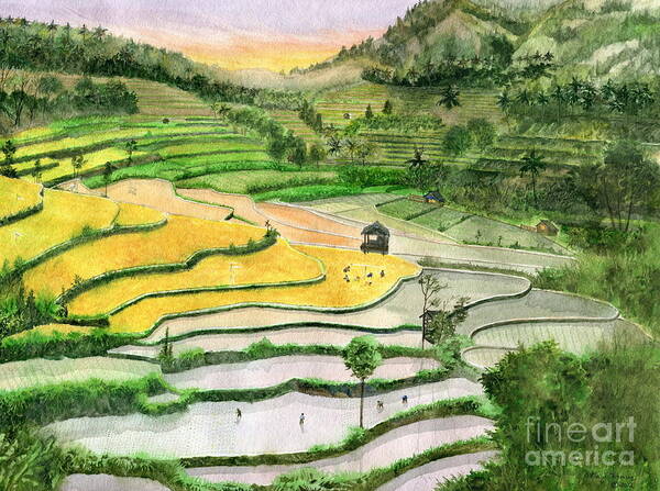 Ricefield Bali Indonesia Poster featuring the painting Ricefield Terrace II by Melly Terpening