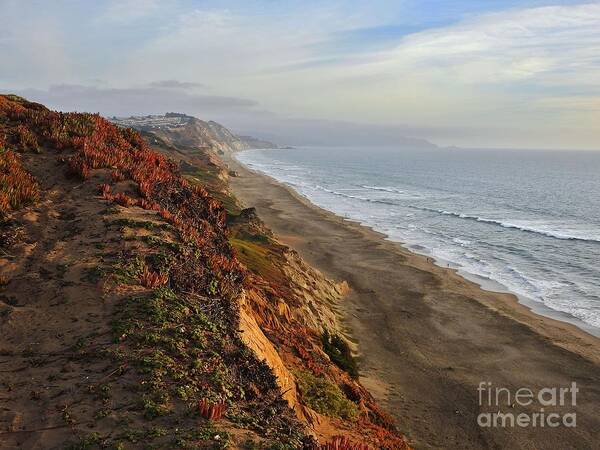 Fort Funston-national Park-san Francisco- California-landscapes Poster featuring the photograph Rippled by Wind and Water by Scott Cameron