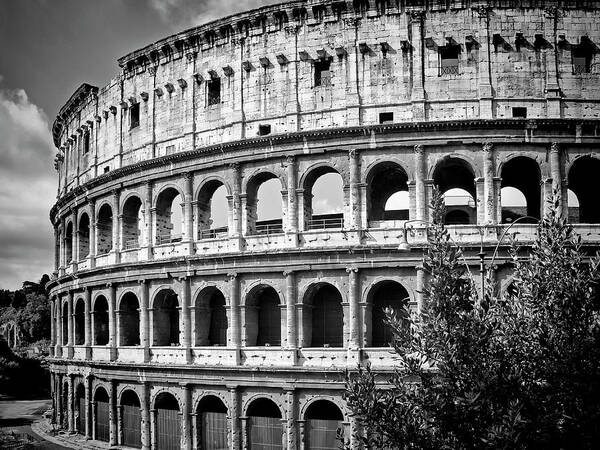 Rome Poster featuring the photograph ROME Colosseum by Melanie Viola