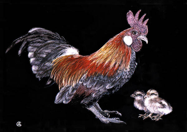 Rooster Poster featuring the painting Rooster and chicks by Angie Cockle