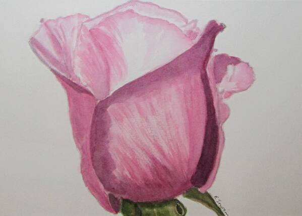 Floral Poster featuring the painting Rose bud by Elvira Ingram