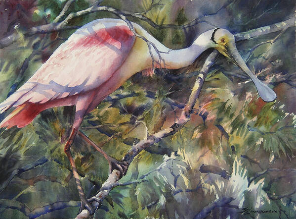 Roseate Spoonbill Poster featuring the painting Roseate Spoonbill by Sue Zimmermann