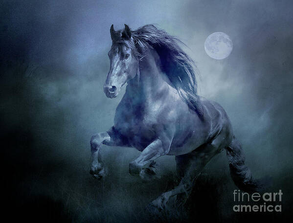 Horse Poster featuring the photograph Running With The Moon by Brian Tarr