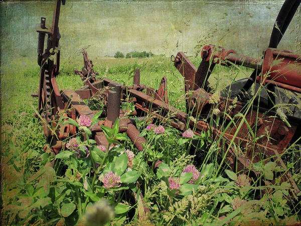 Rusty Poster featuring the photograph Rust in Peace by Scott Kingery