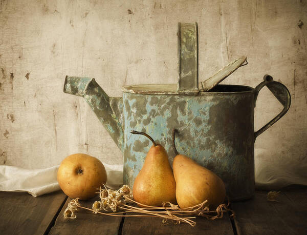 Pear Poster featuring the photograph Rustica by Amy Weiss