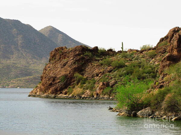 Saguaro Lake Poster featuring the photograph Saguaro Lake Shore by Marilyn Smith