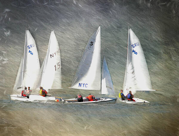 Sail Boats Poster featuring the photograph Sailing Circles by Mary Clough