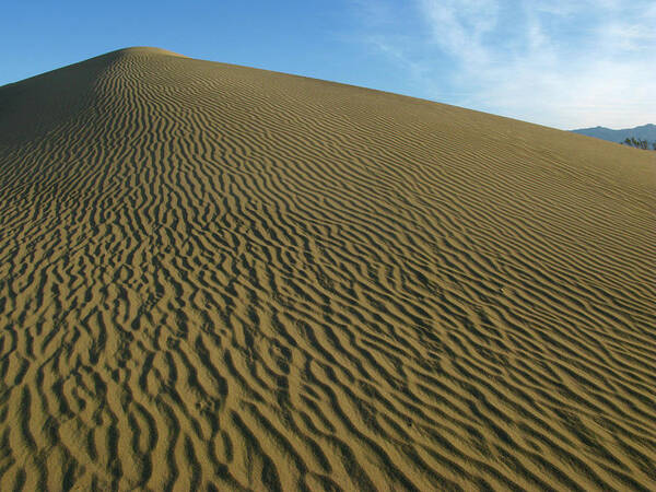 Death Valley Poster featuring the photograph Sand Dune by Inge Riis McDonald
