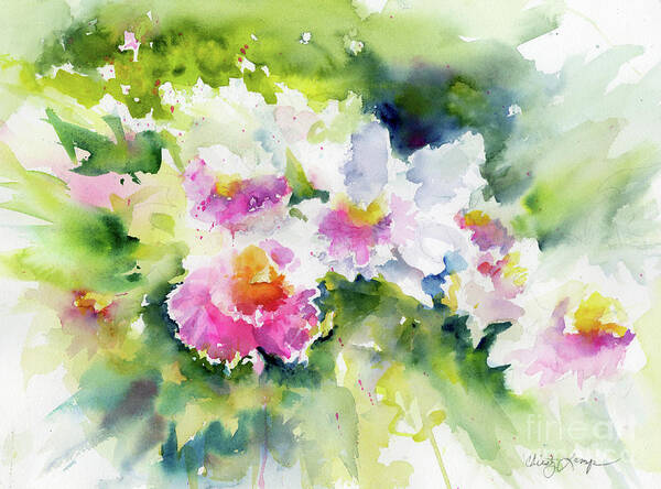 Flowers Poster featuring the painting Sarasota Orchids by Christy Lemp