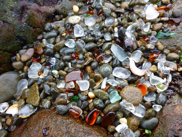 Sea Glass Poster featuring the photograph Sea Glass Gems by Amelia Racca