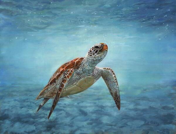 Sea Turtle Poster featuring the painting Sea Turtle by David Stribbling