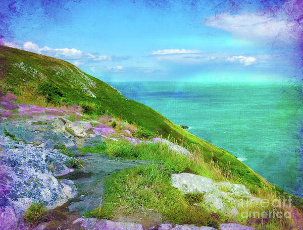 Ireland Poster featuring the photograph Seacoast at Howth by Judi Bagwell