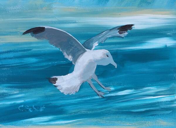 Seagull Poster featuring the painting Seagull by Christina Schott