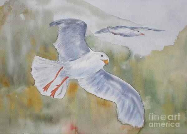Souring Poster featuring the painting Seagulls Over Glacier Bay by Vicki Housel