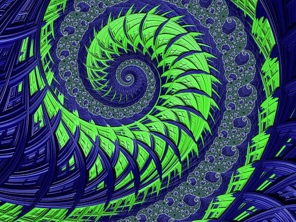 Seahawks Spiral Poster featuring the digital art Seahawks Spiral by Becky Herrera