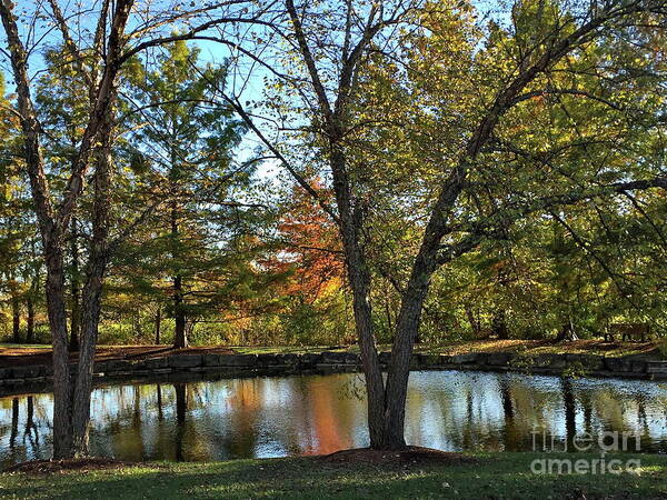 Autumn Poster featuring the photograph Serene Scene at the Park by Barbara Plattenburg