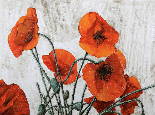 Poppy Poster featuring the painting Sette Papaveri by Guido Borelli