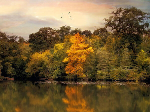 Autumn Poster featuring the photograph Signs of Autumn by Jessica Jenney