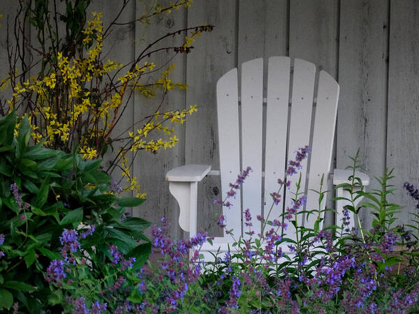 Adirondack Chair Poster featuring the photograph Sitting Amidst the Blossoms by David T Wilkinson