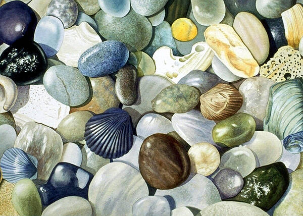 Shells Poster featuring the painting Small World by Bob Nolin