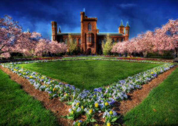 Cherry Poster featuring the photograph Spring Blooms in the Smithsonian Castle Garden by Shelley Neff