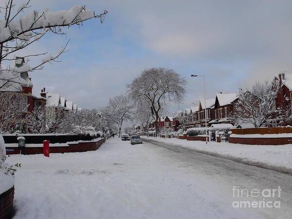 Snow Scene Poster featuring the photograph Snow Down Our Road by Joan-Violet Stretch