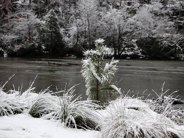 River Poster featuring the digital art Snow on Greens by Kathleen Illes