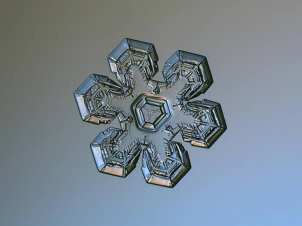 Snowflake Poster featuring the photograph Snowflake photo - Massive silver by Alexey Kljatov