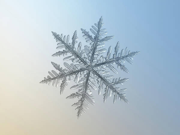 Snowflake Poster featuring the photograph Snowflake photo - Silverware by Alexey Kljatov