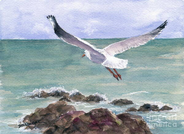 Seagull Poster featuring the painting Soaring Gull by Suzanne Krueger