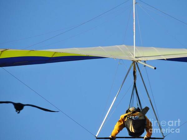  Hang Gliding-hang-glider-gliding-sport Poster featuring the photograph Soaring Together by Scott Cameron