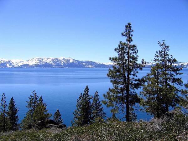 Lake Tahoe Poster featuring the photograph Spectacular Lake Tahoe by Will Borden