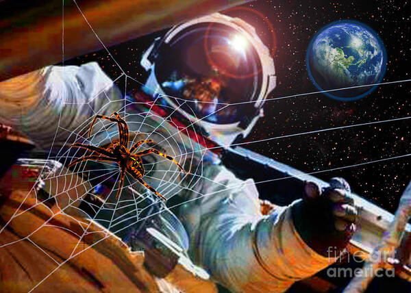 Spider Webs Poster featuring the photograph Spiders In Space - The Experiment by James Temple